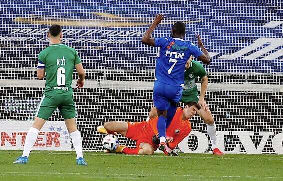 צילום: אלן שיבר